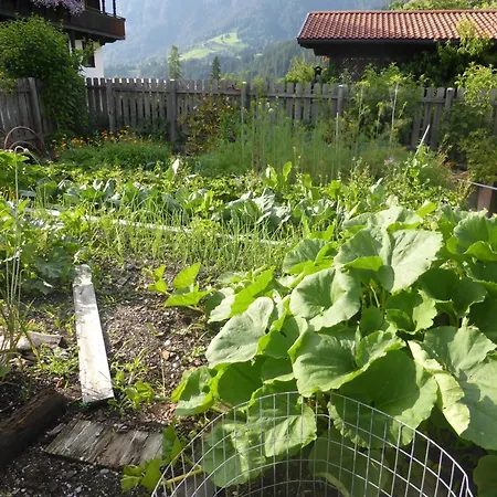 Pension Schwaighof-2